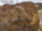 Parowan Gap dinosaur tracks