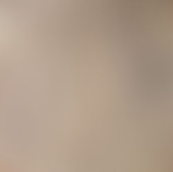 Barnesville Track Rocks: Uncovering Ohio's Ancient Native American Rock Art