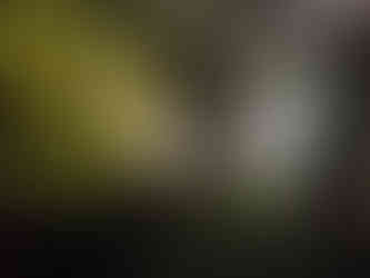 Kaymoor Miners Trail