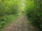 Tree Farm Trail Cuyahoga Valley National Park