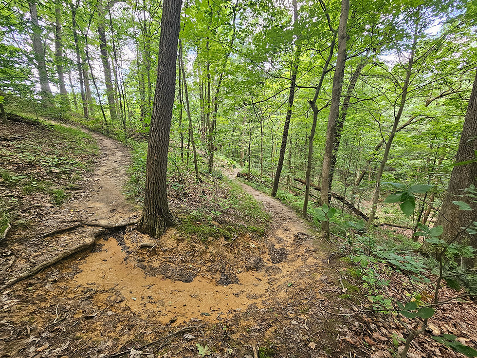 Wetmore Bridle Trail Cuyahoga Valley National Park