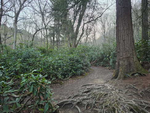 Alum Cave Trail Mount LeConte