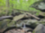 Deer Lick Cave Loop