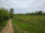 Adam Run Loop Hampton Hills Metro Park