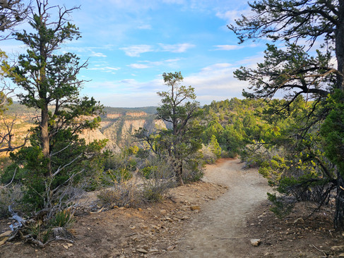 Observation Point Trail Zion National Park