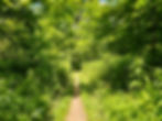 Wetmore Bridle Trail Cuyahoga Valley National Park