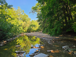 Where the Trail Bends and the Bridge Beckons: Hiking Cuyahoga Valley's Furnace Run