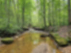 Wetmore Bridle Trail Cuyahoga Valley National Park