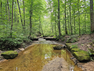 Mud, Hills, and Solitude: Hiking Cuyahoga Valley's Wetmore Bridle Trail