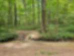 Wetmore Bridle Trail Cuyahoga Valley National Park