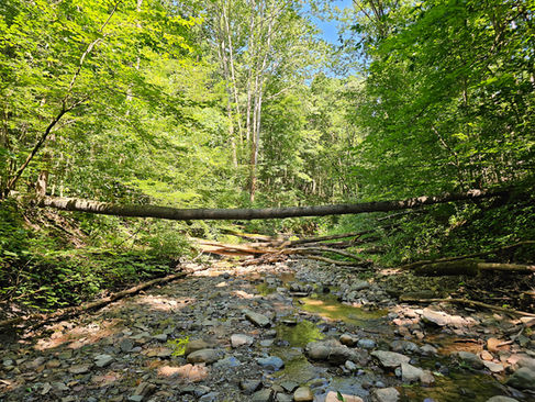 Perkins Trail Cuyahoga Valley