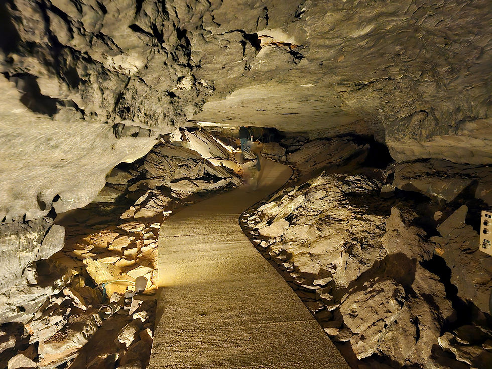 Mammoth Cave Historic Tour