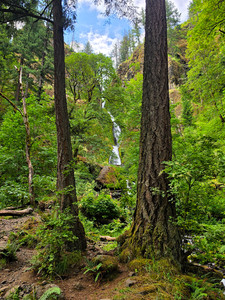 Wahkeena Falls