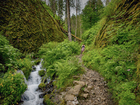 Wahkeena Falls Trail