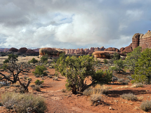 Canyonlands The Needles