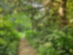 Riding Run Trail Cuyahoga Valley National Park