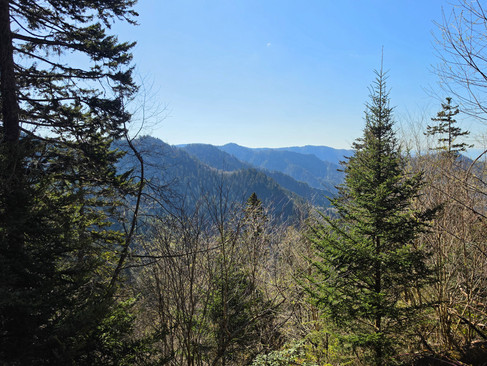 Alum Cave Trail Mount LeConte Great Smoky Mountains National Park