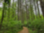 Adam Run Loop Hampton Hills Metro Park