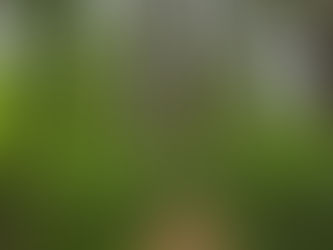 Adam Run Loop Hampton Hills Metro Park
