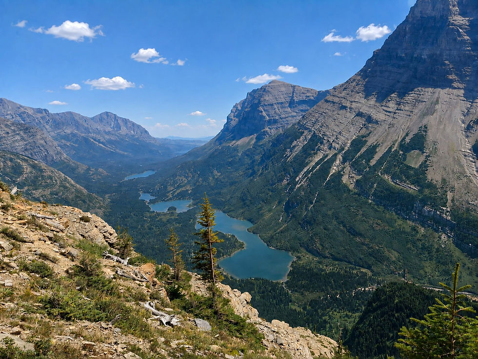 Swiftcurrent Pass Trail