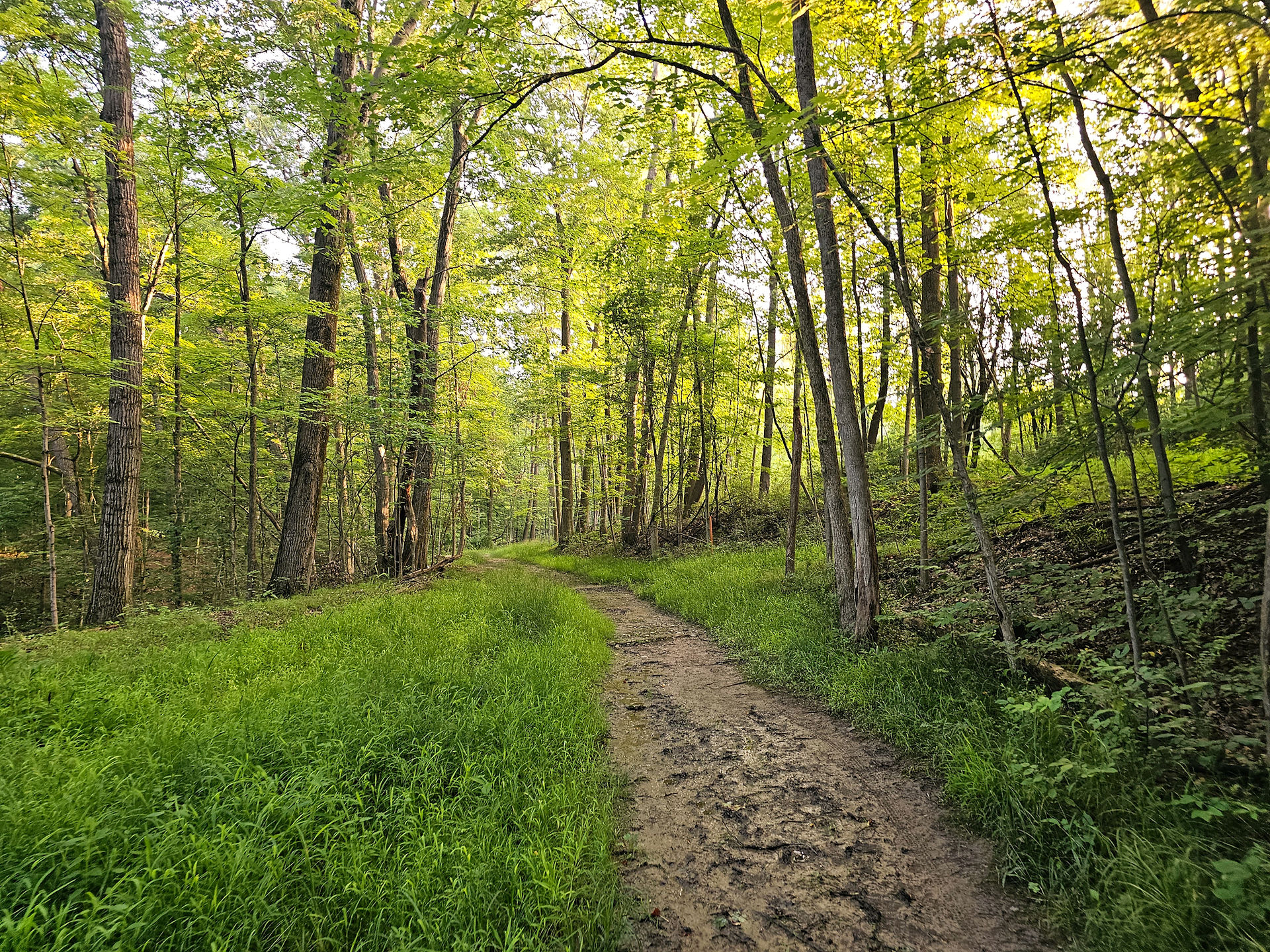 Old Carriage Trail Cuyahoga Valley National Park