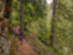 Falls Creek Falls Trail Washington