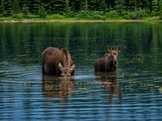 Fishercap Lake