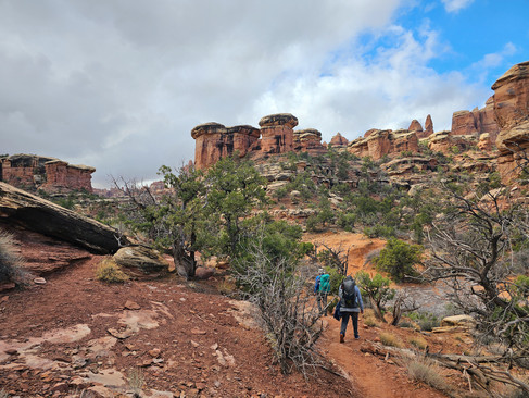 Canyonlands The Needles