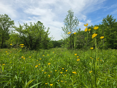 Penitentiary Glen Reservation