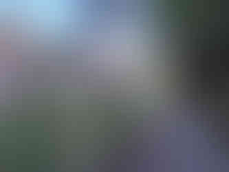 Alum Cave Trail Mount LeConte Great Smoky Mountains National Park