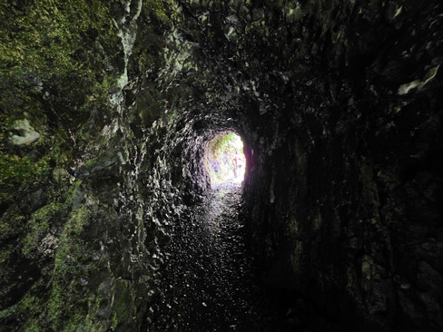 Tunnel Falls Columbia River Gorge