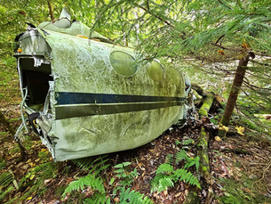 Hiking to the N28901 Plane Crash Site in Cranberry Wilderness