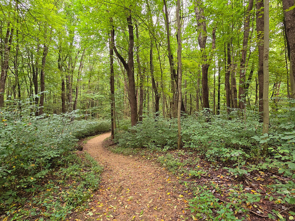 Indian Spring Trail Munroe Falls Metro Park Akron