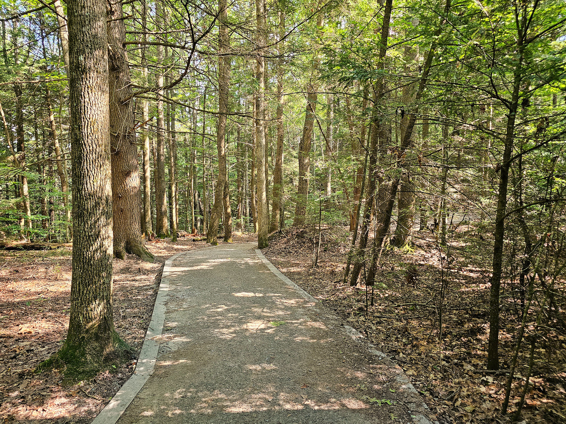 Long Point Trail New River Gorge