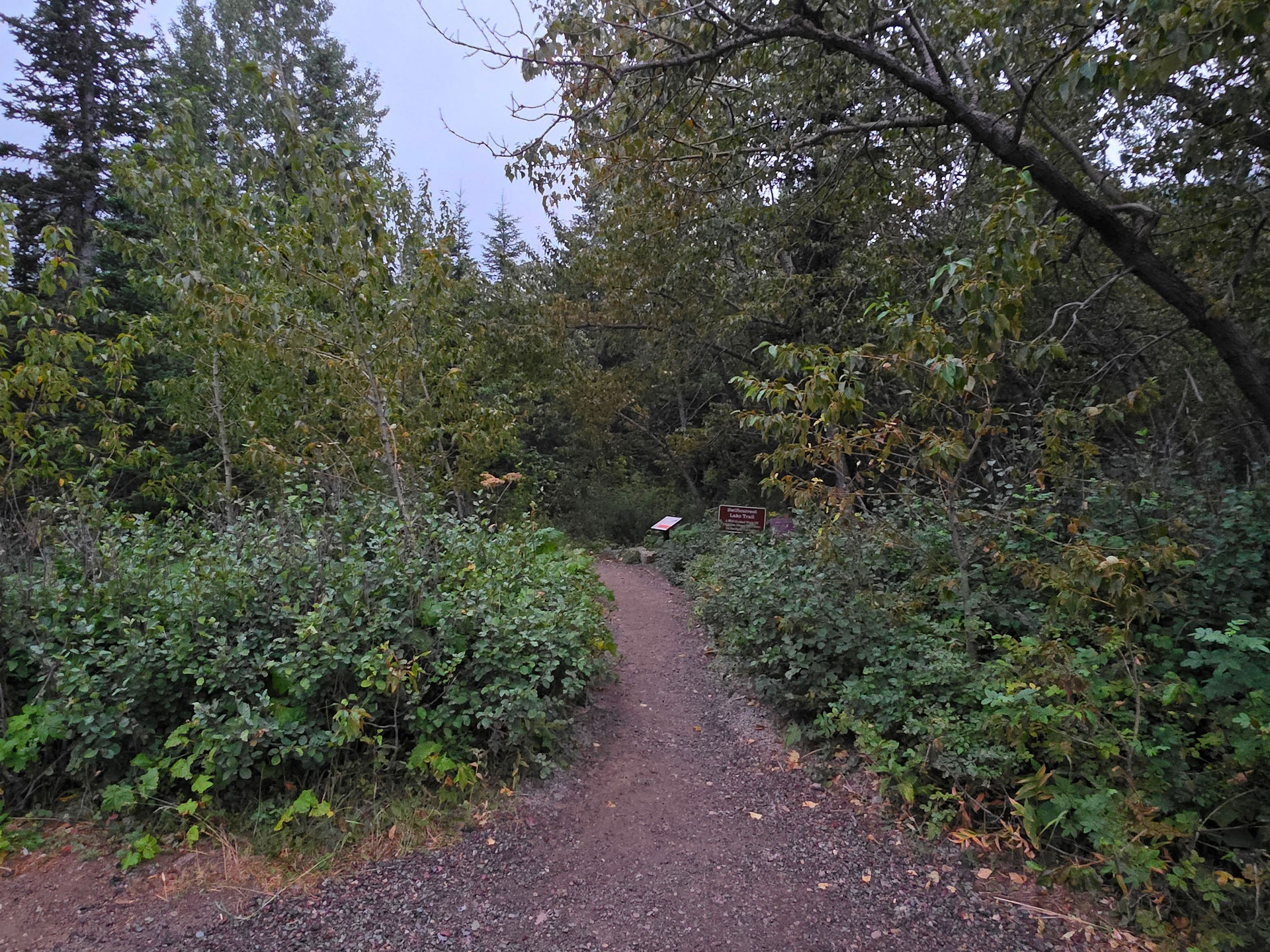 Grinnell Glacier Trail