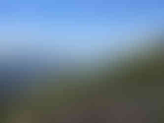 Cliff Tops Mount LeConte Great Smoky Mountains National Park
