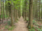 Plateau Trail Cuyahoga Valley National Park