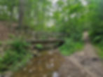 Deer Lick Cave Loop