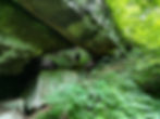 Archers Fork Trail