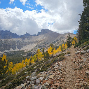 Hiking Wheeler Peak: Great Basin's Big Boss