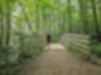 Deer Lick Cave Loop