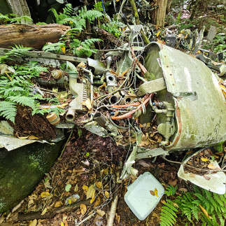 Cranberry Wilderness plane crash