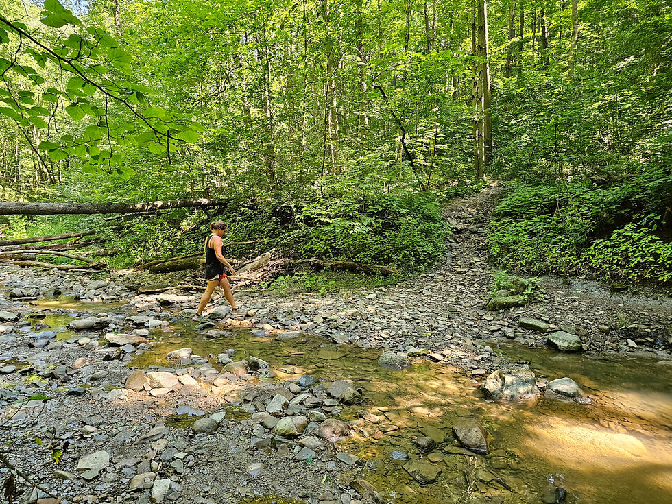 Perkins Trail Cuyahoga Valley