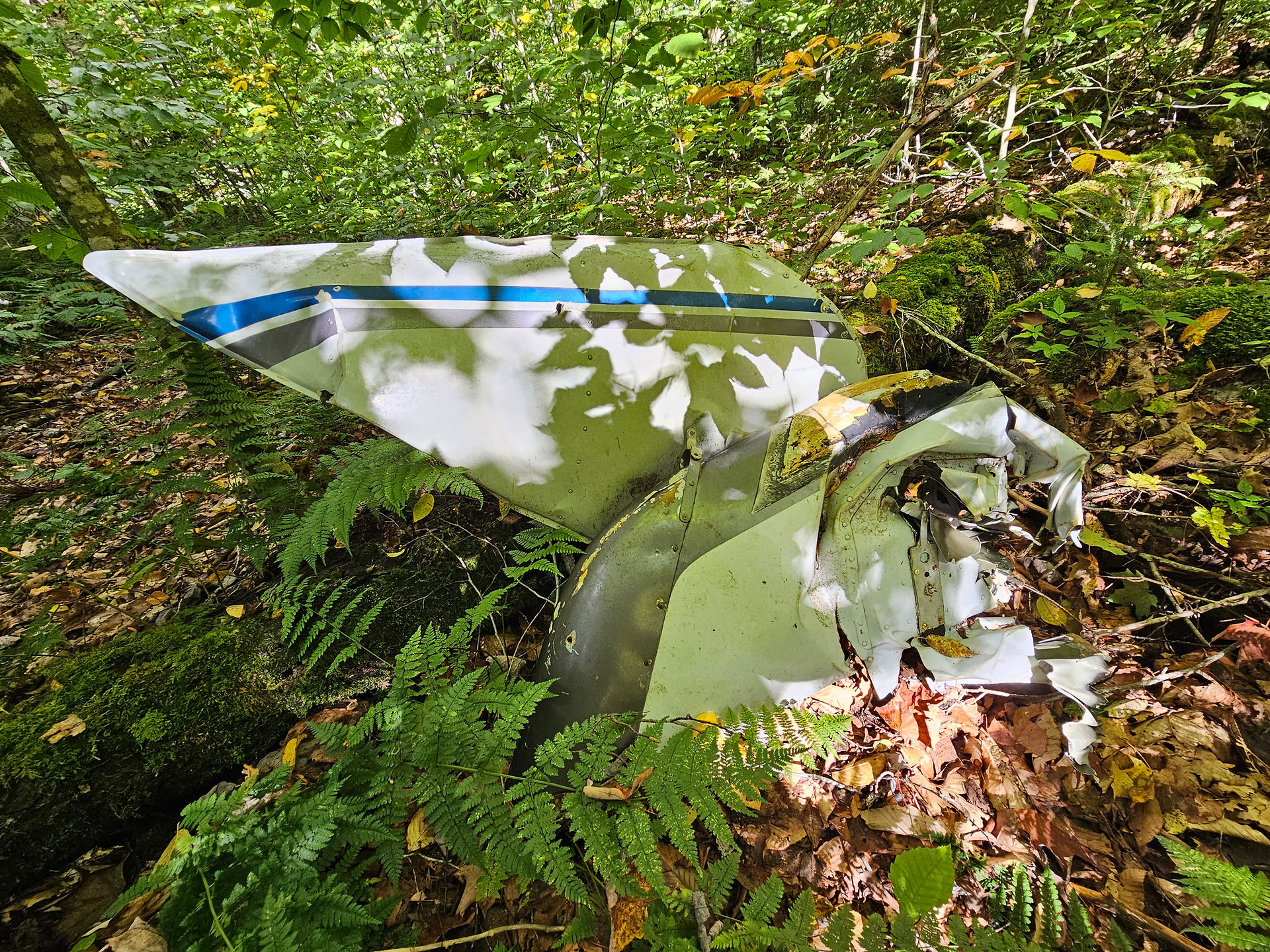 Cranberry Wilderness plane crash