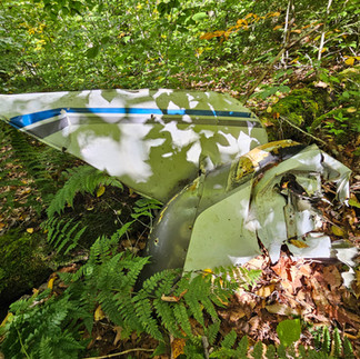 Cranberry Wilderness plane crash