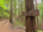 Falls Creek Falls Trail Washington
