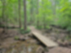 Deer Lick Cave Loop