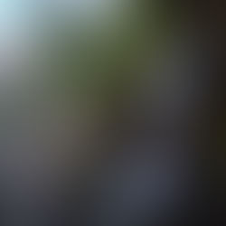 Grotto Falls Great Smoky Mountains National Park