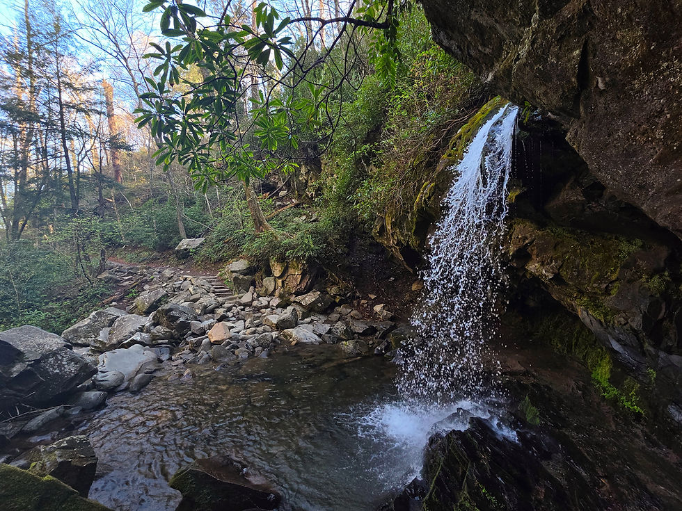 Grotto Falls Great Smoky Mountains National Park