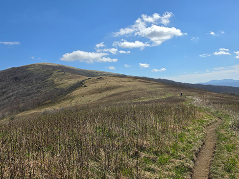Roan Highlands Hump Mountain